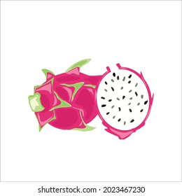 vector beautiful dragon  fruit on white background color