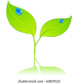 Vector beautiful eco leaves