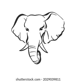 Vector beautiful elephant face tattoo sketch or template 