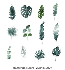 Vector beautiful floral leaves garden watercolor collection set