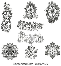 Vector beautiful floral ornament elements. Floral decorations