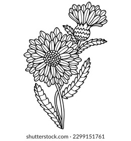 Vector beautiful flower for coloring book or page. Isolated flower