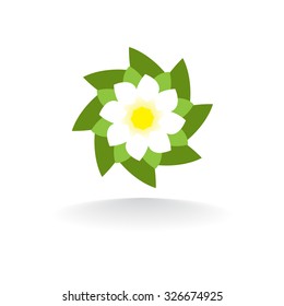 Vector beautiful flower Lily isolated on white background.