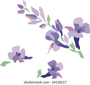 Vector.  Beautiful flowers.