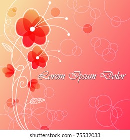 Vector beautiful flowers illustration