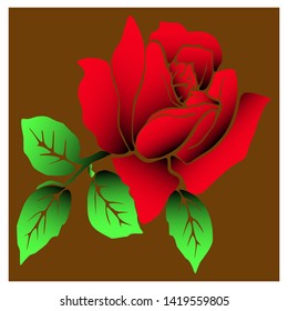 Vector Beautiful and fragrant roses