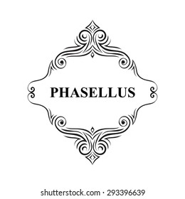 vector beautiful frame. design elements