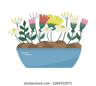 Vector beautiful garden with different flat flowers in flowerbed. Floral plants isolated on white. Spring time concept. Flat summer bouquet.