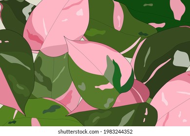 Vector - Hermosas hojas verdes y rosas de la princesa rosa filipina. Fondo natural colorido. Copiar espacio.