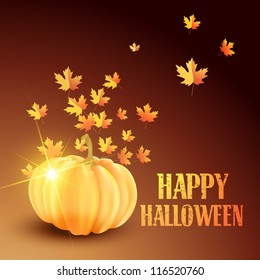vector beautiful halloween pumpkin design art