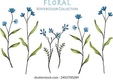 Vector hermosa acuarela floral de dibujos a mano colección de acuarela o conjunto para diseños y tarjetas