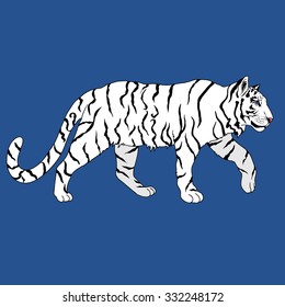 Vector beautiful vector hand drawn illustration with white tiger on blue background