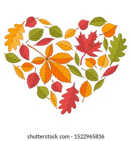 Vector beautiful heart of bright colorful autumn leaves on a white background