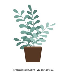 Vectores hermosas plantas de hogar en macetas