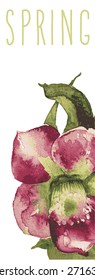 vector beautiful illustration of Hand Painted flower Wild. 