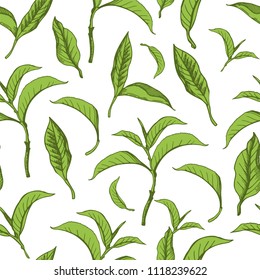 Vector beautiful illustration with pattern of green tea leaves. Seamless background.