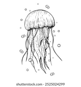 Vector beautiful jellyfish with bubbles. Hand painted line sketch, sparkling oxygen. Graphic clip art isolated on background. Underwater illustration. For designers, invitations, decoration, postcards