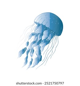 Vector beautiful jellyfish. Hand painted sketch. Graphic clip art isolated on background. Underwater illustration. For designers, invitations, decoration, postcards, wrapping paper, scrapbooking, cove