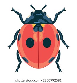 vector beautiful ladybug cartoon illustration isolated