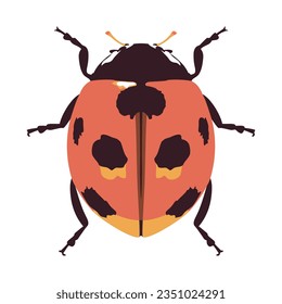 vector beautiful ladybug cartoon illustration isolated