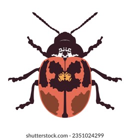 vector beautiful ladybug cartoon illustration isolated