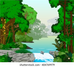 vector beautiful lake in jungle rainforest