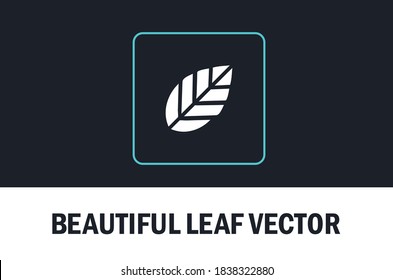 Vector of beautiful leaf icon isolated on dark background. For designer.