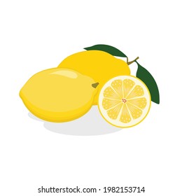 vector hermoso limón sobre fondo blanco