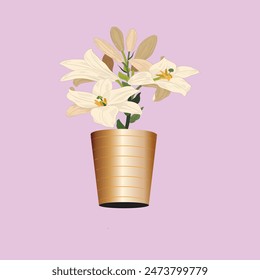 vector beautiful lily of madona in a pot,isolated image