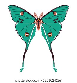 vector beautiful luna moth cartoon illustration isolated