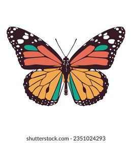 vector beautiful monarch butterfly cartoon illustration isolated