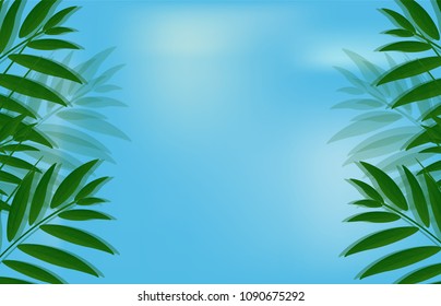 vector beautiful nature background banner on blue sky background with clouds with green palm tree branches with summer leaves