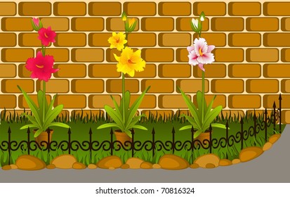 Vector beautiful orchids on a flowerbed