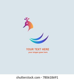 Vector, Beautiful Peacock 