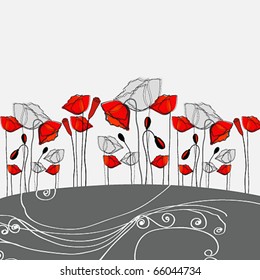 Vector beautiful poppies background illustration