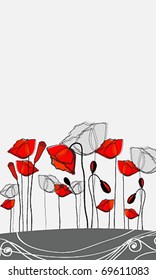 Vector beautiful poppies background illustration