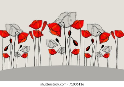 Vector beautiful poppies illustration