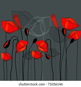 Vector beautiful poppies illustration