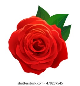 Vector beautiful realistic red rose with green leaves, decorative design element