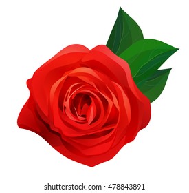 Vector beautiful realistic red rose with green leaves, decorative