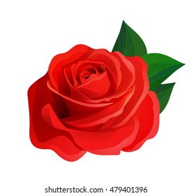 Vector beautiful realistic red rose with green leaves, decorative design element