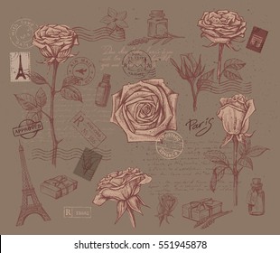 vector beautiful roses flower set on vintage background