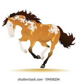 Vector beautiful running buckskin paint horse on a white background