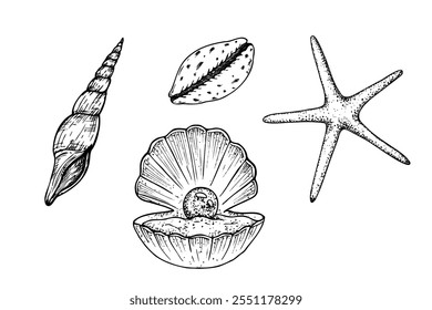 Vector beautiful set with shells, starfish. Hand painted line opened oyster seashell with pearl. Graphic clip art isolated on background. Underwater illustration. For designers, invitations