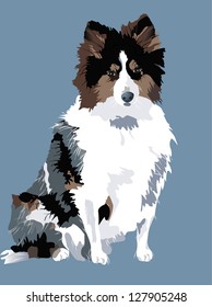 vector of a beautiful sheepdog - eps 10, transparencies