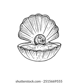 Vetor lindo shell. Linha pintada à mão abriu a concha de ostra com pérola. clip-art gráfico isolado no plano de fundo. Ilustração subaquática. Para designers, convites, decoração, cartões postais, wrappi