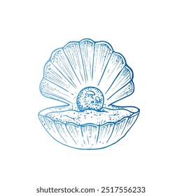 Vetor lindo shell. Linha pintada à mão abriu a concha de ostra com pérola. clip-art gráfico isolado no plano de fundo. Ilustração subaquática. Para designers, convites, decoração, cartões postais, wrappi