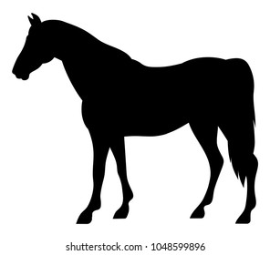 Vector beautiful side view horse black silhouette isolated on white background