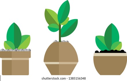 vector beautiful small tree in a flower pot