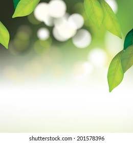 Vector Beautiful Spa Background with Leafs for Family, Health-care, People 